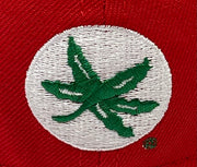 Load image into Gallery viewer, OHIO STATE BUCKEYES (RED)(2002 NATIONAL CHAMPS) NEW ERA 59FIFTY FITTED