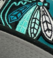 Load image into Gallery viewer, CHICAGO BLACKHAWKS (AQUA) (EASTERN CONF) NEW ERA 59FIFTY FITTED