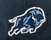 Load image into Gallery viewer, HOWARD BISON "HBCU" NEW ERA 59FIFTY FITTED