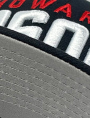 Load image into Gallery viewer, HOWARD BISON "HBCU" NEW ERA 59FIFTY FITTED