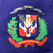 Load image into Gallery viewer, PAPER PLANES OLD SCHOOL (ROYAL) "D.R CROWN" NEWERA SNAPBACK