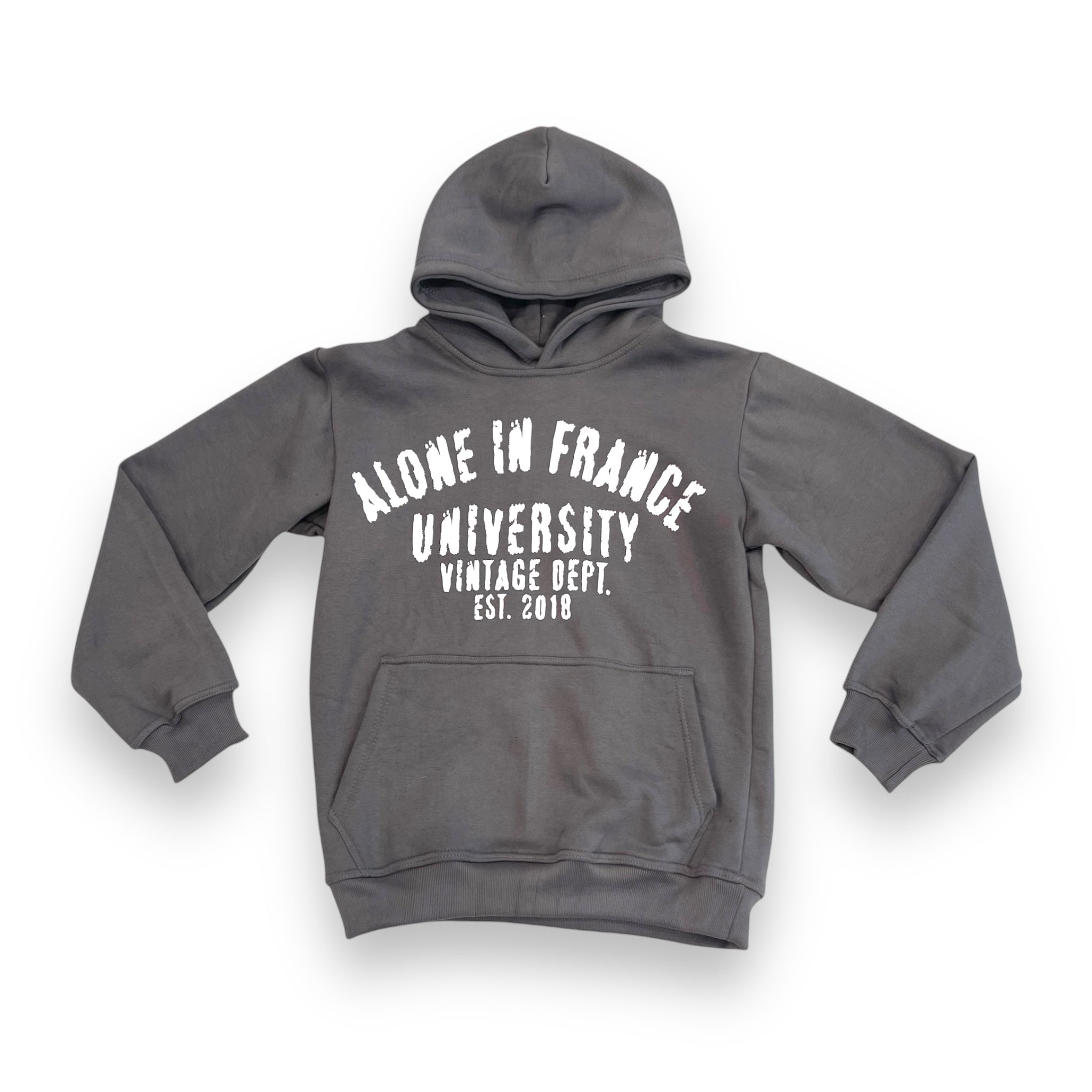 ALONE IN FRANCE UNIVERSITY (SMK GREY) HOODIE