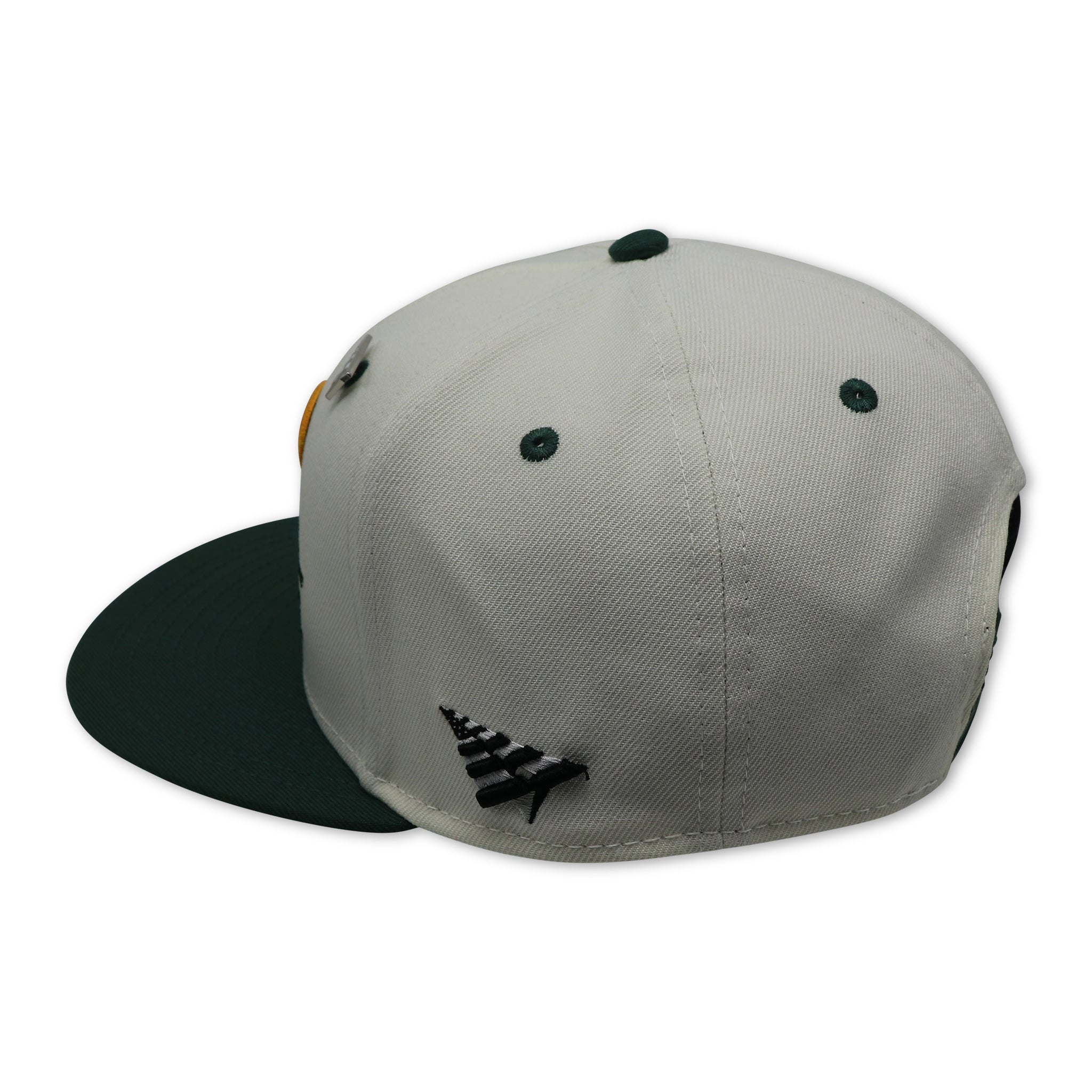 PAPER PLANES (VAPOR) SCRIPTED SNAPBACK