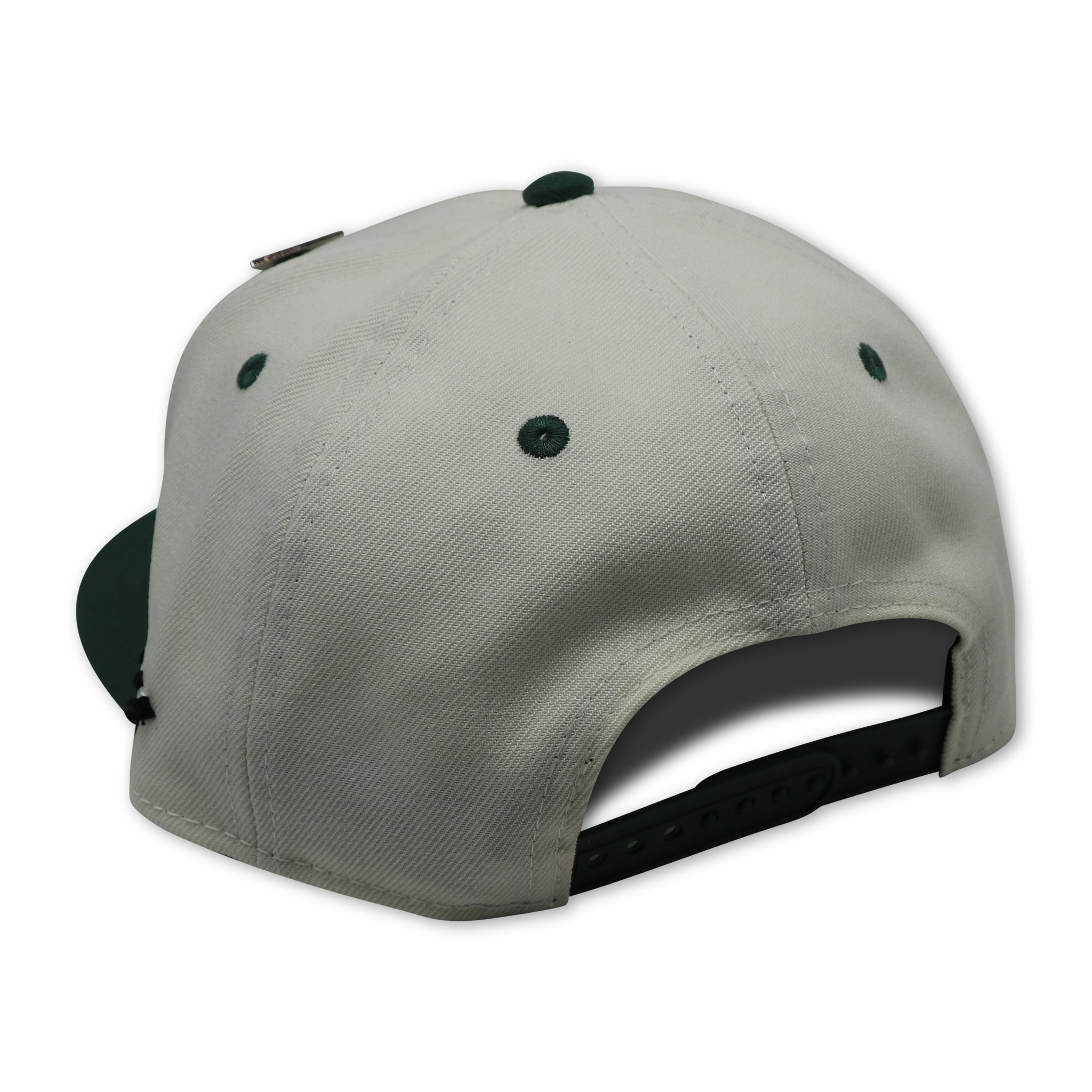 PAPER PLANES (VAPOR) SCRIPTED SNAPBACK
