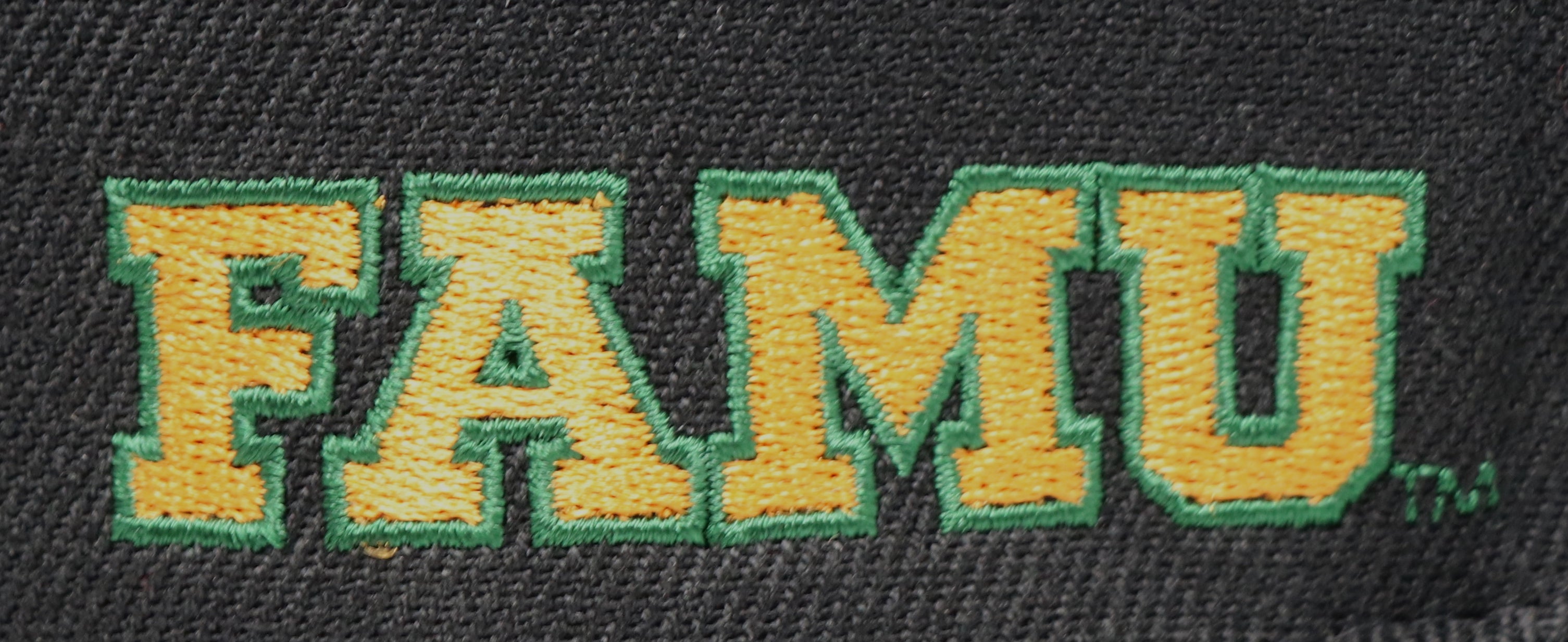 MITCHELL & NESS HBCU FLORIDA A&M SNAPBACK