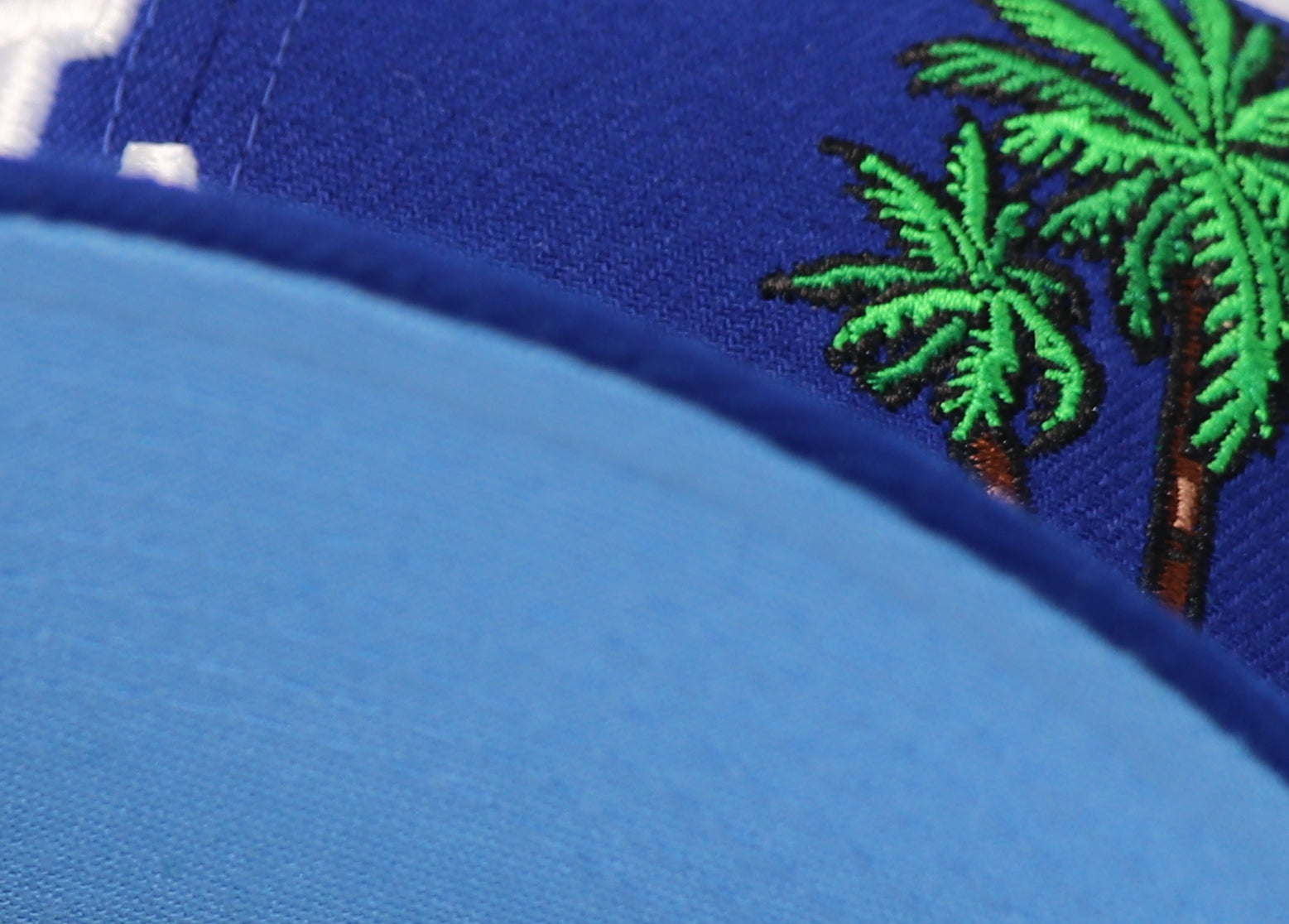 LOS ANGELES DODGERS "PALM TREE X TACO" NEW ERA 59FIFTY FITTED (SKY BLUE UNDER VISOR)