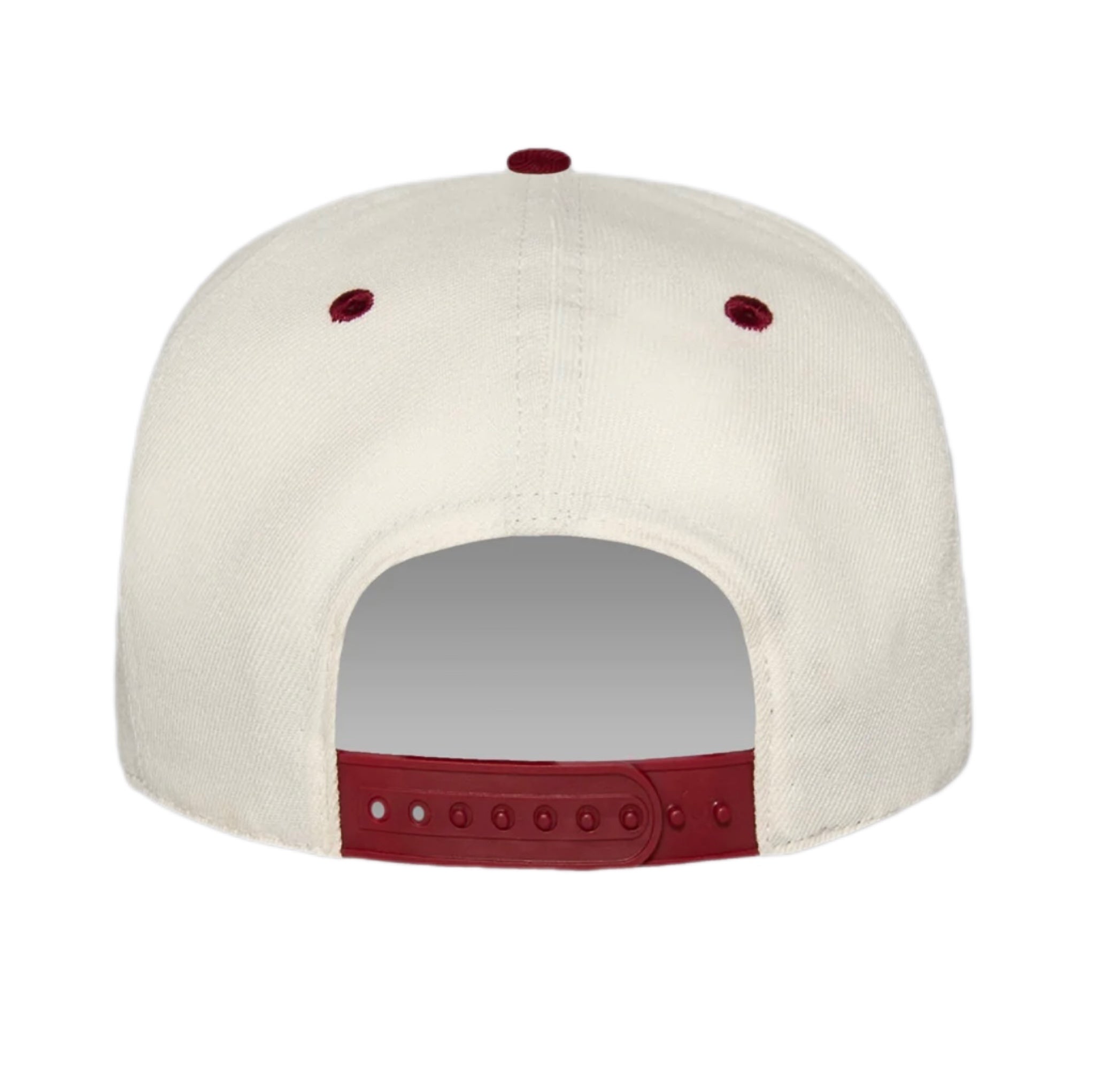 PAPER PLANES SMALL WORLD (CABERNET) SNAPBACK