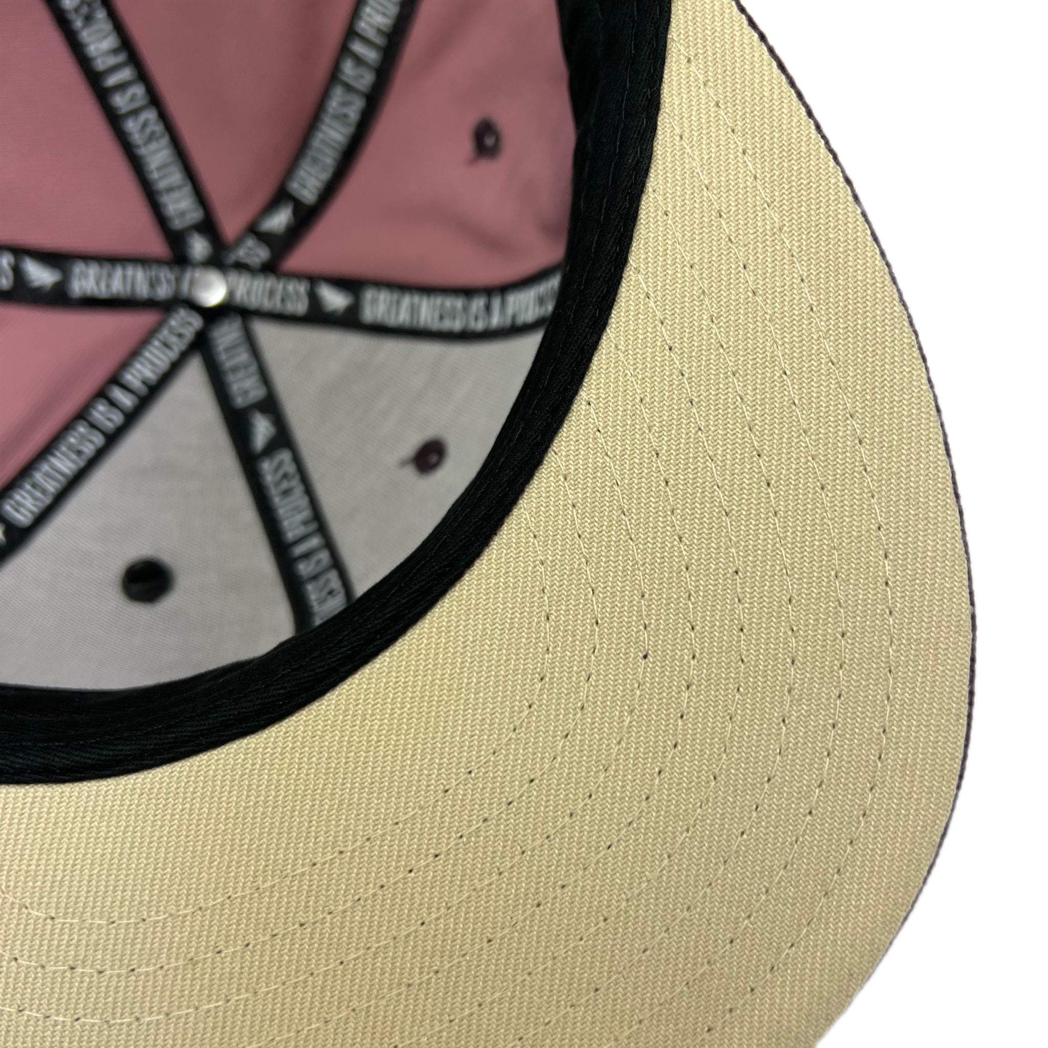 PAPER PLANES (ROSE) SCRIPTED SNAPBACK