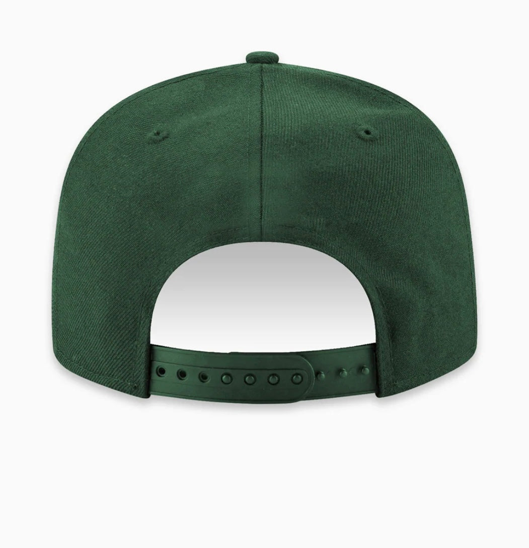 PAPER PLANES SCRIPTED MANTRA RETRO (GREEN) SNAPBACK